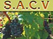 Syndicat Aubois de la Champagne Viti-vinicole SACV