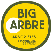 Big Arbre entrepreneur paysagiste