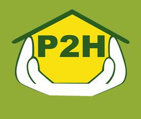 P2H Préservation Hygiène Habitat bois (détail)