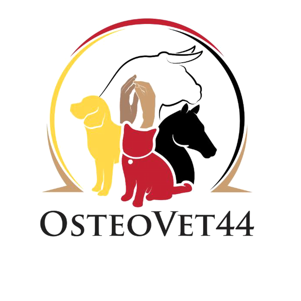 Osteovet 44 vétérinaire
