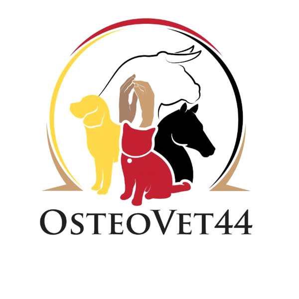 Osteovet 44