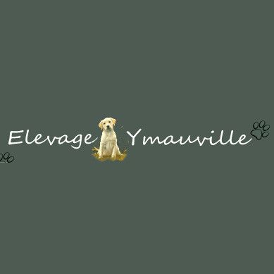 ELEVAGE D'YMAUVILLE