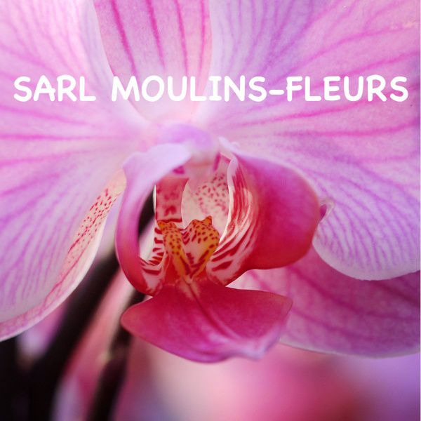 Moulins Fleurs fleuriste