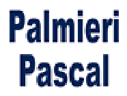 Electricite Generale Palmieri électricité (production, distribution, fournitures)