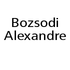 Bozsodi Alexandre