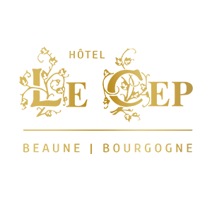 Hôtel le Cep spa