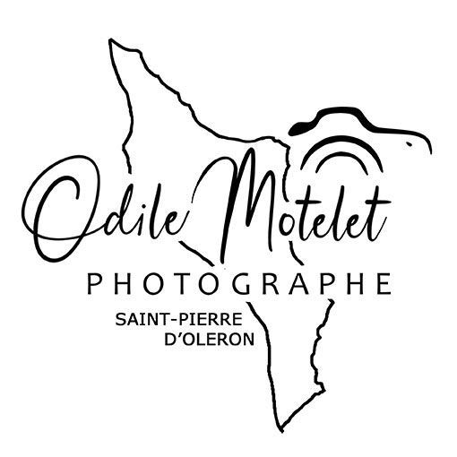 Motelet Odile photographe d'art et de portrait