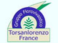 TORSANLORENZO FRANCE pépiniériste