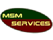 MSM Services