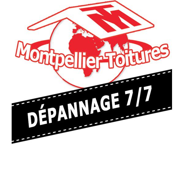 Montpellier Toitures toiture (démoussage, nettoyage et traitement)