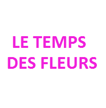 AMARYLLIS/LE TEMPS DES FLEURS