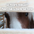 Le Poon's Fringant centre équestre, équitation