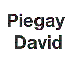 Piegay David