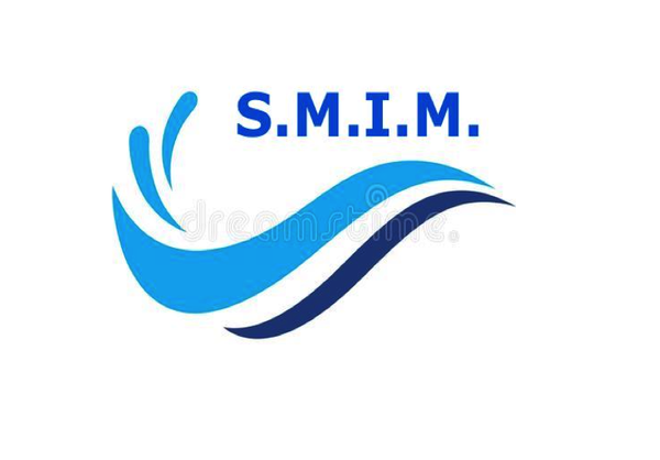 S.M.I.M. métaux non ferreux et alliages (production, transformation, négoce)