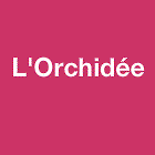 L'orchidée Tedesco jean-Claude fleuriste