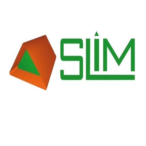 Slim Construction, travaux publics