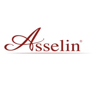 Asselin et Cie Construction, travaux publics