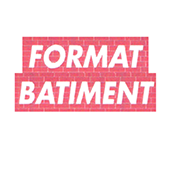 Format Bâtiment toiture (démoussage, nettoyage et traitement)