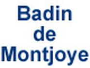 Badin De Montjoye Domin achat et vente d'antiquité