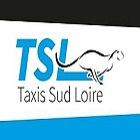 SARL Taxis Sud Loire taxi