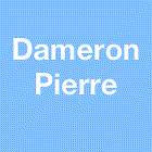 Dameron Pierre Arnaud conseil en organisation, gestion management