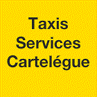 Taxis Services Cartelegue TSC Transports et logistique