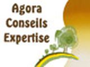 Agora Conseils Expertises expert-comptable