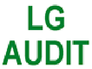 L G Audit expert-comptable