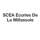 Ecuries De La Millassole centre équestre, équitation