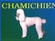 Chamichien toilettage de chien et chat