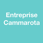 Entreprise Cammarota peintre (artiste)