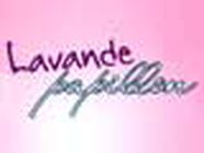 Lavande Papillon fleuriste