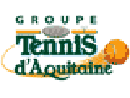 Groupe SAE Tennis d'Aquitaine construction de tennis