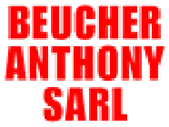 SARL Beucher Anthony entreprise de maçonnerie