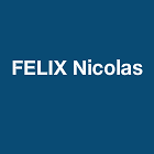 Felix Nicolas