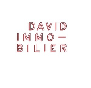 David Immobilier St Georges-Martyrs