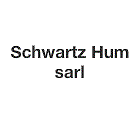 Schwartz Hum Antenne Servi électroménager (détail)