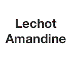 Lechot Amandine chirurgien