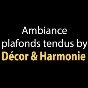 Décor Et Harmonie peinture et vernis (détail)