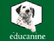 Educanine dressage animal