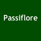 Passiflore