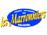 Les Marronniers