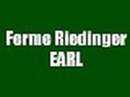 Ferme Riedinger EARL maraîcher