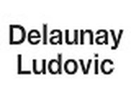Delaunay Ludovic