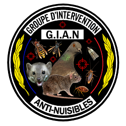 Groupe d'Intervention Anti-Nuisibles désinfection, désinsectisation et dératisation
