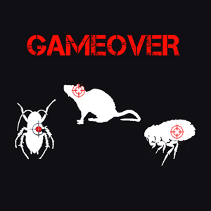 Game Over désinfection, désinsectisation et dératisation