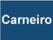 Sas Carneiro Construction, travaux publics