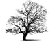 Arbres et Jardins.EP entrepreneur paysagiste