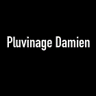 Pluvinage Damien