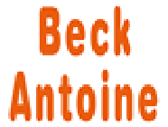 Beck Antoine SARL entreprise de démolition